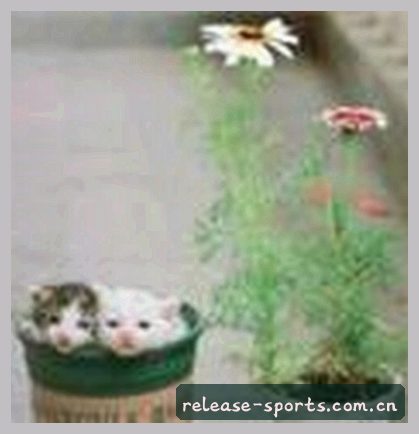 李悦